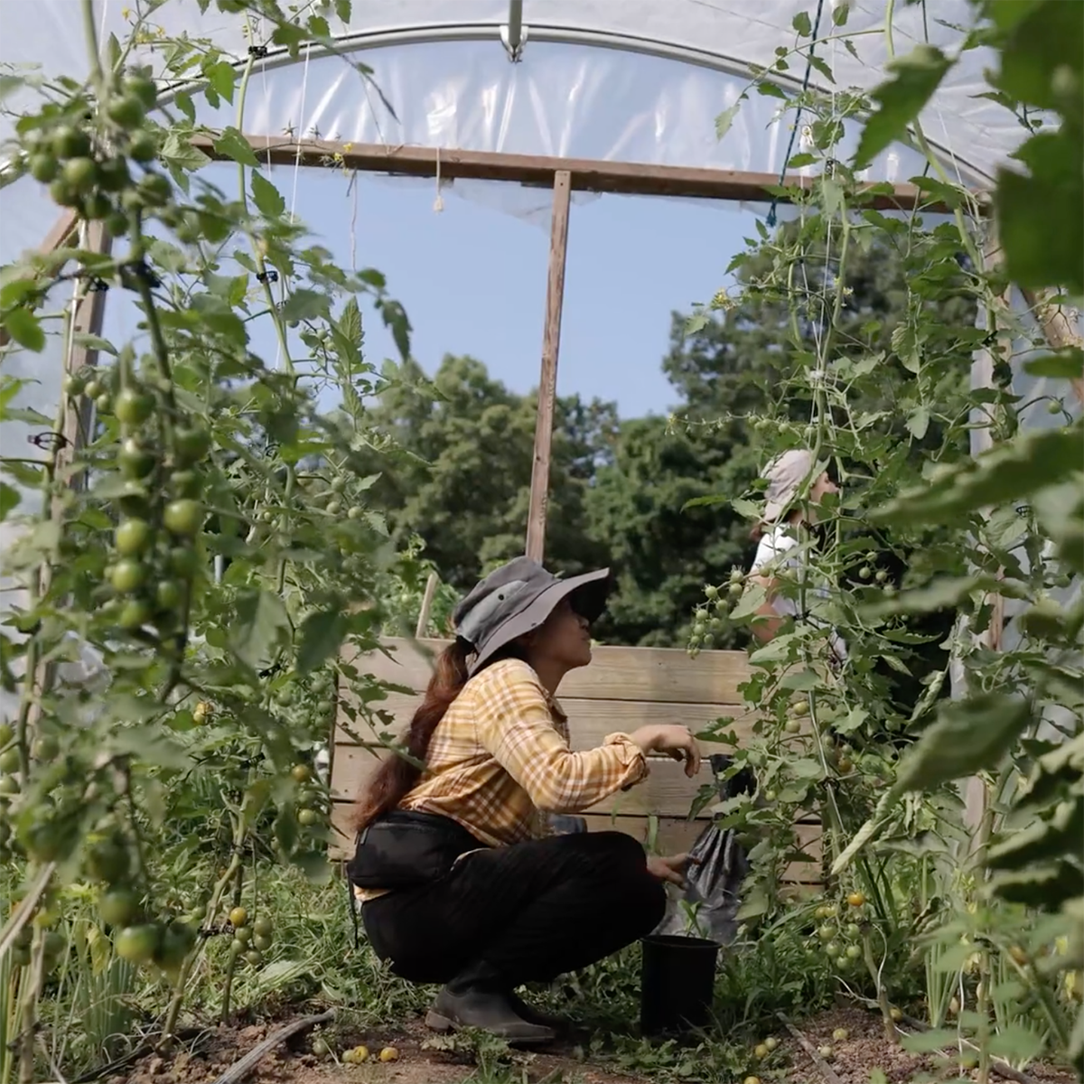 Photo of a young woman working in the agroecology garden