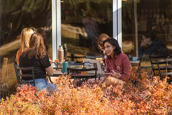 Decorative collage of images of Chatham University community members.