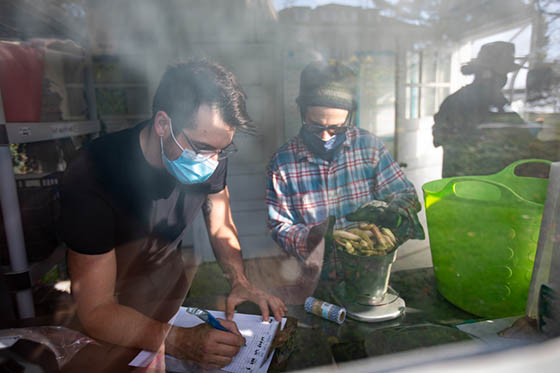 Photo of two masked Chatham University students measuring food from the Eden Hall Campus agroecology demo garden