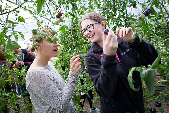 Photo of an instructor conducting an experiment on Eden Hall Campus