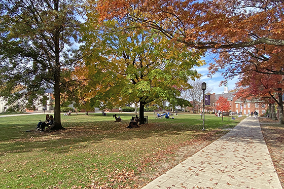Redbrick academic buildings on Chatham University's Shadyside campus are framed by colorful budding trees and green grass. 