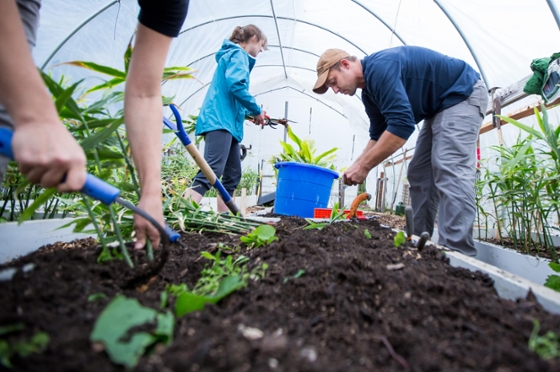 Photo of Chatham University students and professors tending to a gardening bed inside a greenhouse on the Eden Hall Campus