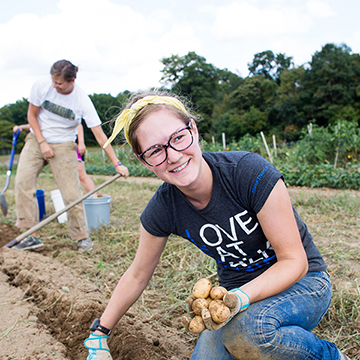 Sustainability student digging for potatoes on Chatham's Eden Hall Farm