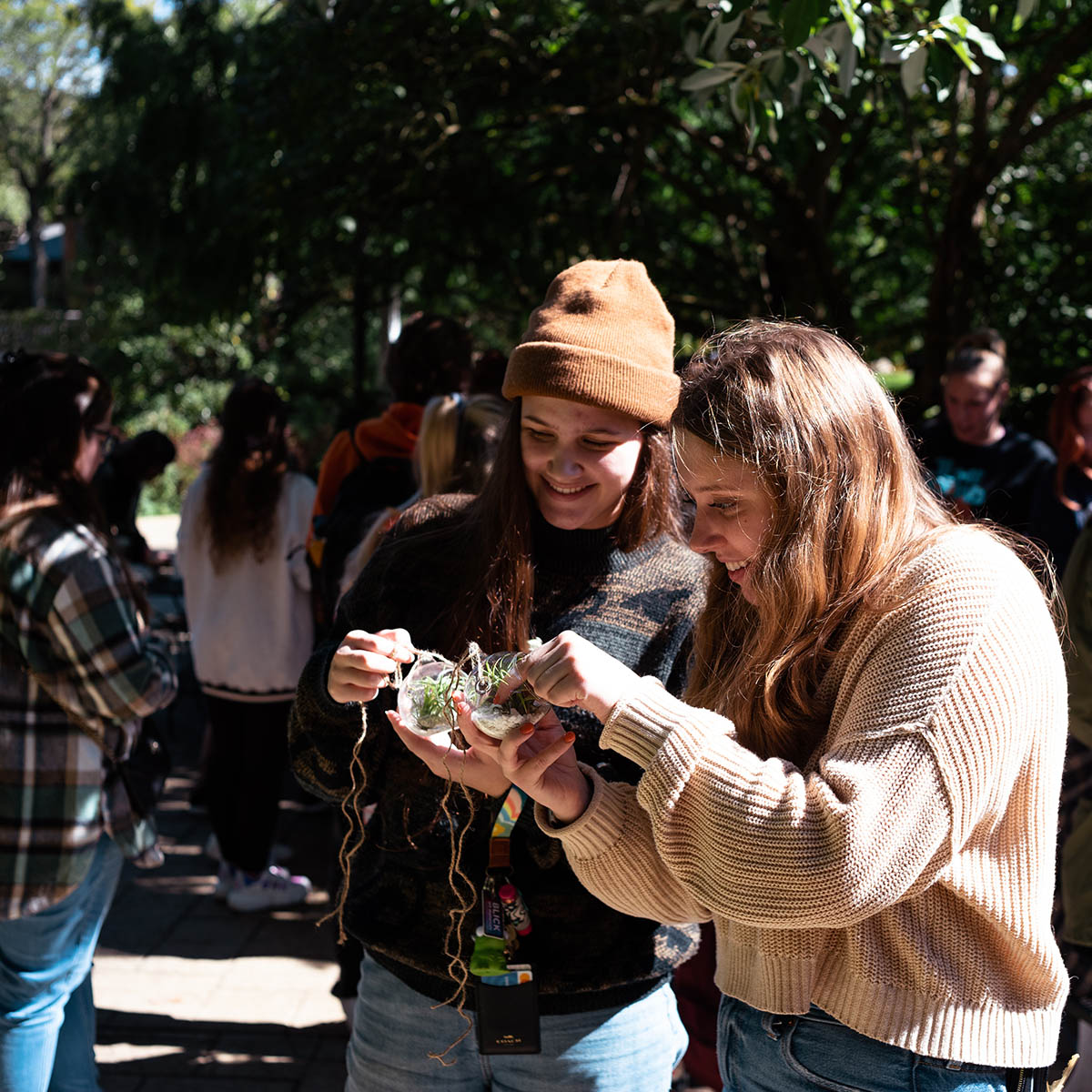 Photo of students looking at an ornament with air plants at an outdoor market on Shadyside Campus